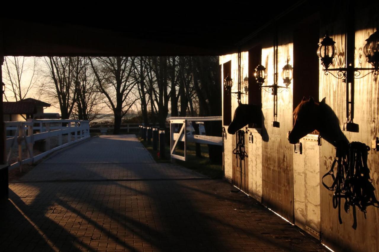 Luxus Resort Ruegen Residenz Kubitzer Bodden Rambin Exterior foto