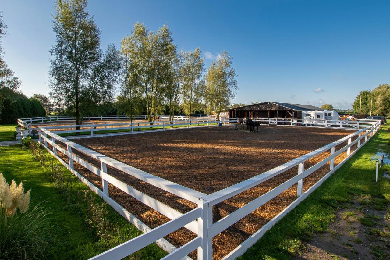 Luxus Resort Ruegen Residenz Kubitzer Bodden Rambin Exterior foto